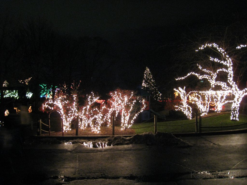 Toledo Zoo Lights 2008 051.jpg - The regular visit to the Toledo Ohio Zoo to see the Christmas Lights displays. New this trip were the "Dancing Lights", displays flashing in time with the Christmas Songs.